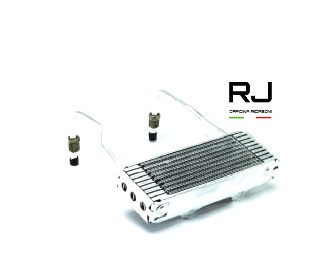 RADIATORE OLIO 2CV6