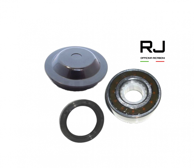 SET CUSCINETTI RUOTA POSTERIORE SNR