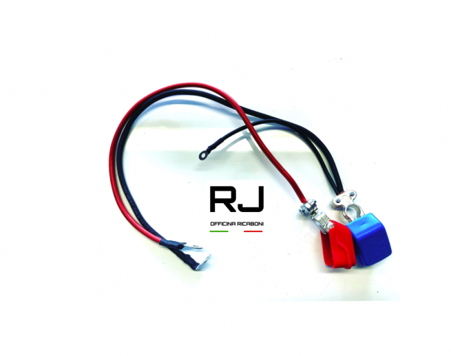 CAVI BATTERIA CON SGANCIO RAPIDO