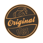 logo vgs